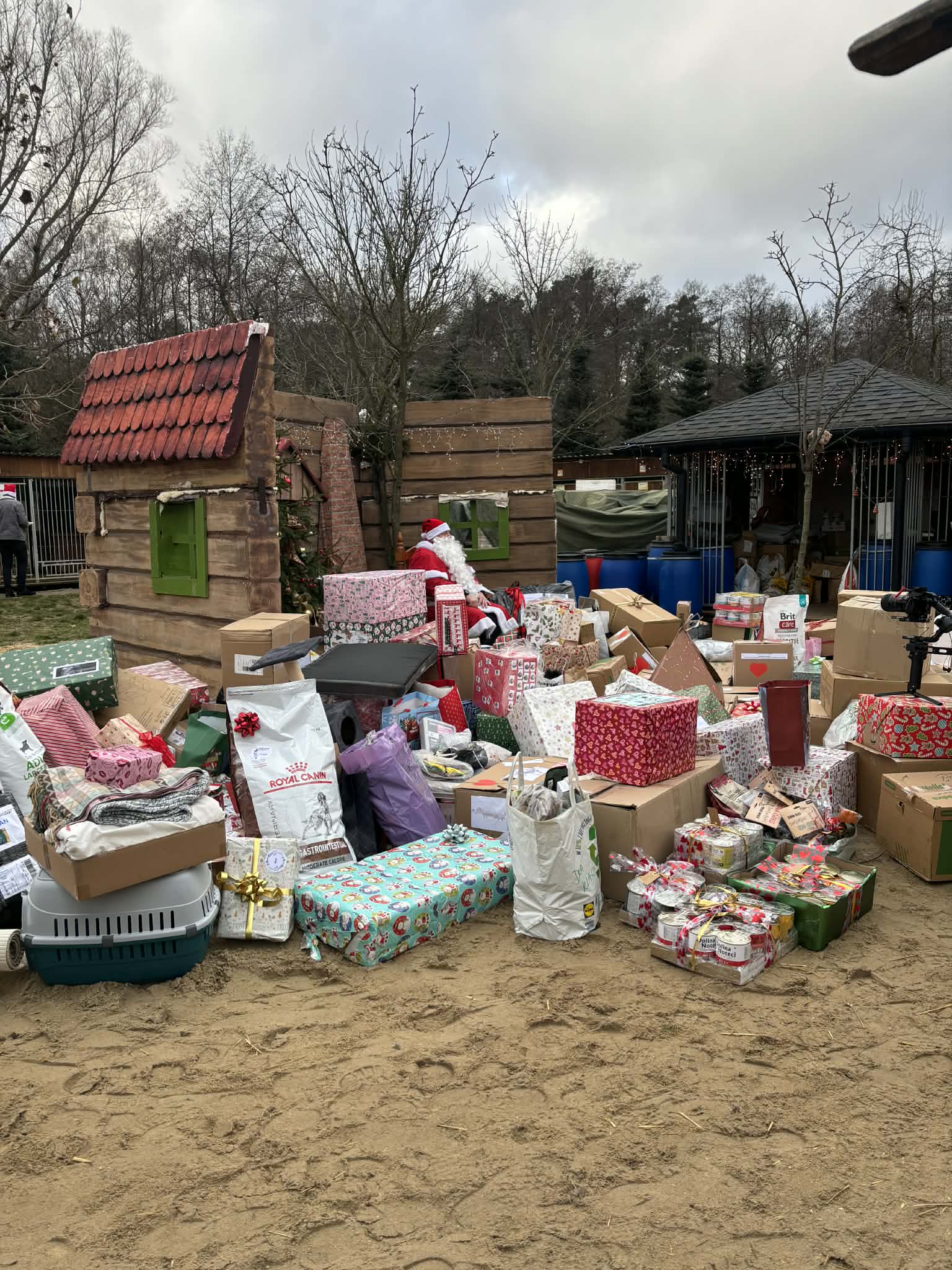 gifts for pets gathered from Employees in Poland